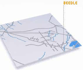 3d view of Beedle
