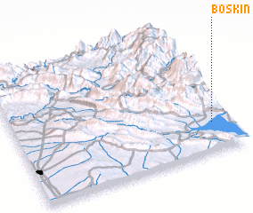 3d view of Boskin