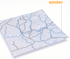 3d view of Bekopay