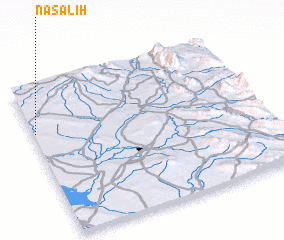 3d view of Nāşāliḩ