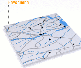 3d view of Knyaginino