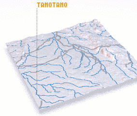 3d view of Tamotamo