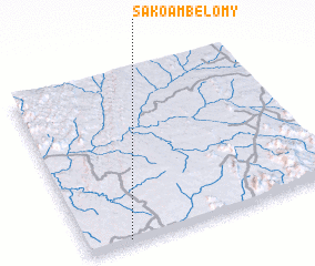 3d view of Sakoambelomy