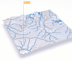 3d view of Sāri‘