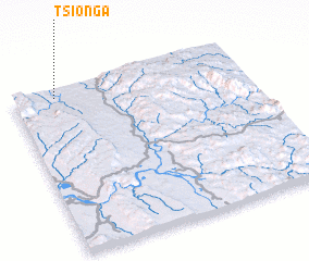 3d view of Tsionga