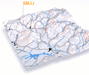 3d view of Salli