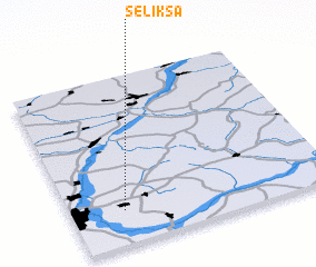 3d view of Seliksa