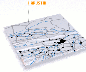 3d view of Kapustin