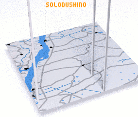 3d view of Solodushino