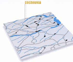 3d view of Sosnovka