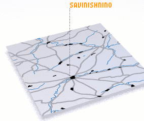 3d view of Savinishnino