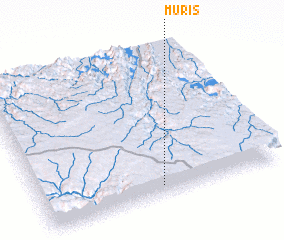 3d view of Muris