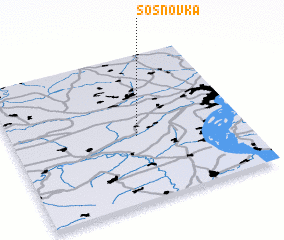 3d view of Sosnovka