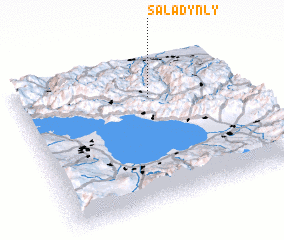 3d view of Saladynly