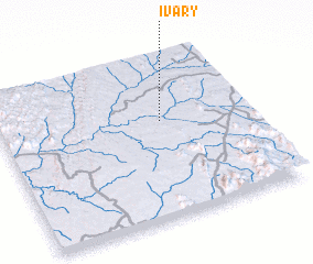 3d view of Ivary