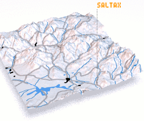 3d view of Saltax