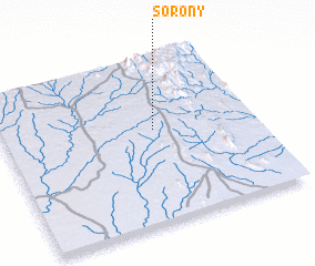 3d view of Sorony