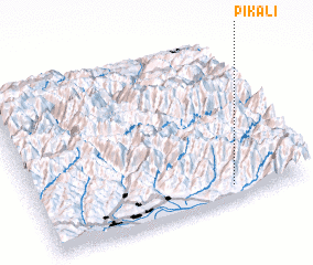 3d view of (( Pikali ))