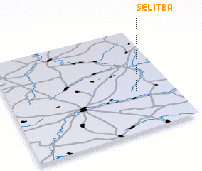 3d view of Selit\