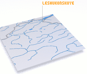 3d view of Leshukonskoye