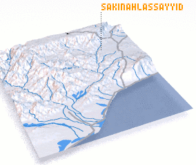 3d view of Sākin Ahl as Sayyid