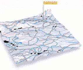 3d view of Naniani