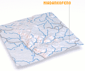 3d view of Miadankofeno