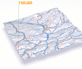 3d view of Torjān