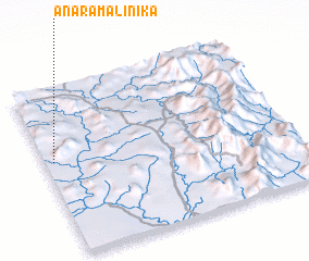 3d view of Anaramalinika