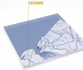 3d view of Sasahia