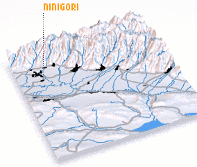 3d view of Ninigori