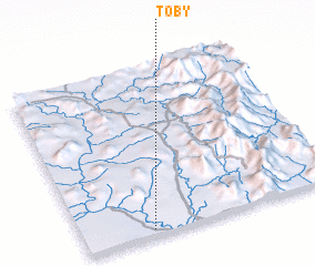 3d view of Toby