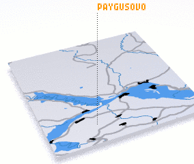 3d view of Paygusovo