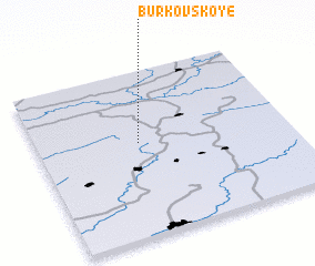 3d view of Burkovskoye