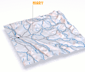 3d view of Miary