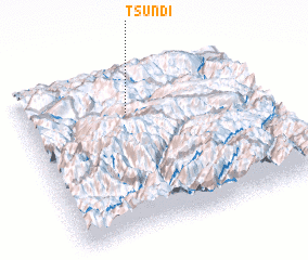 3d view of Tsundi