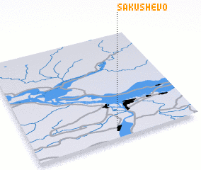 3d view of Sakushevo