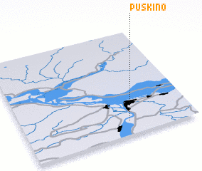 3d view of Puskino