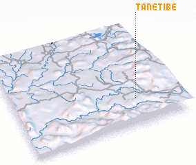 3d view of Tanetibe