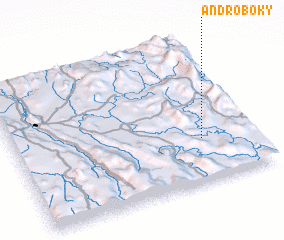 3d view of Androboky