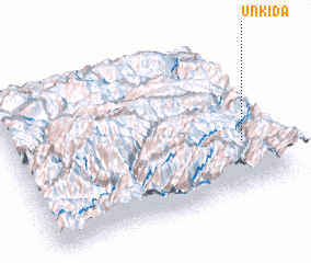 3d view of Unkida