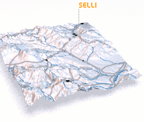 3d view of Şelli