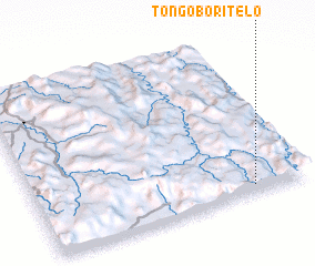 3d view of Tongoboritelo