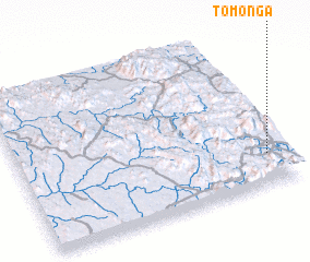 3d view of Tomonga