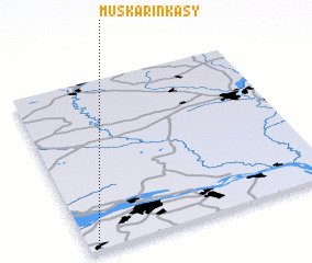 3d view of Muskarinkasy