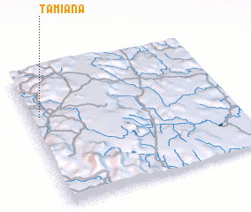 3d view of Tamiana