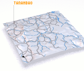 3d view of Tanambao