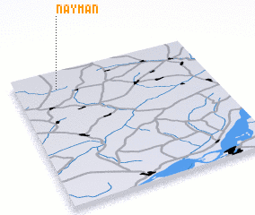 3d view of Nayman