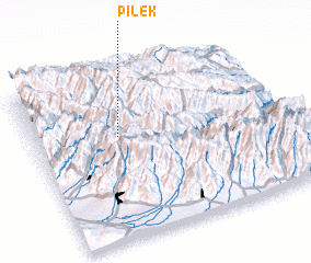 3d view of Pilek