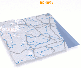 3d view of Nakasy